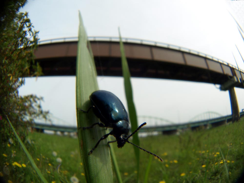 c0145418_1723695.jpg