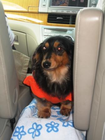 お友達とお出かけ~♪ 車の中では…_f0155118_954731.jpg