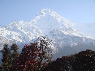 ネパール旅行記その３　いよいよ登ります♪_e0114020_18195350.jpg