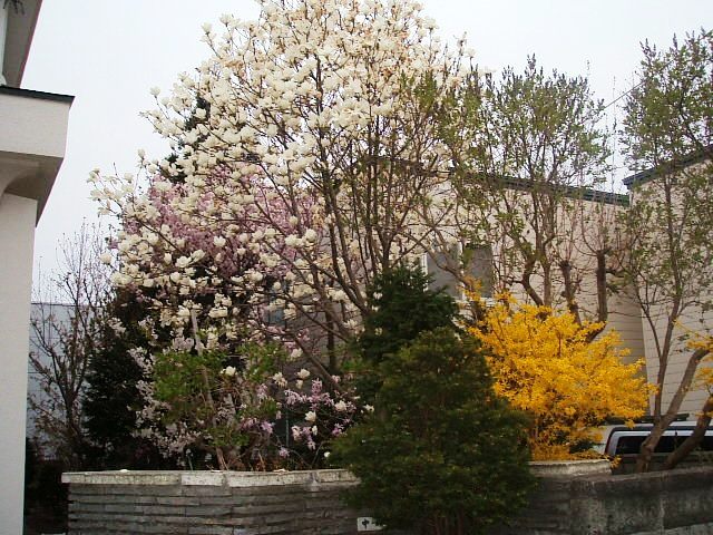 f0054720_012554.jpg