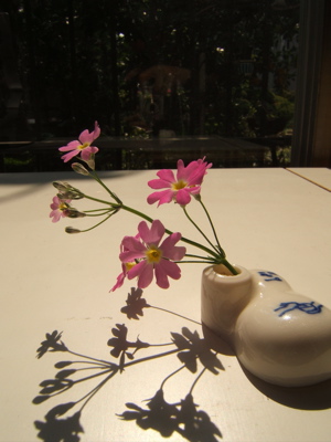 シウマイ食べて小さな花を飾りましょう_c0004024_140071.jpg