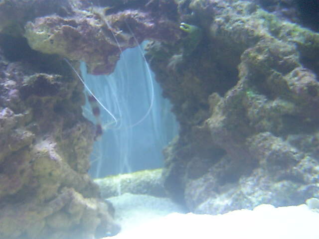 c0108434_22435414.jpg