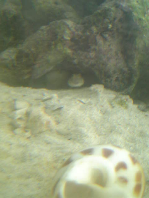 c0108434_227337.jpg