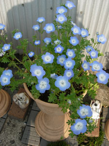 e0097534_18163545.jpg