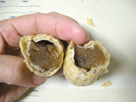 f0001841_2055264.jpg