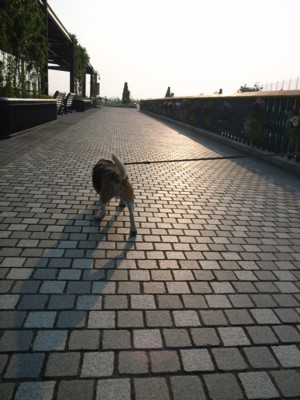 c0119142_67509.jpg