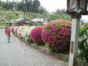 f0064449_8234158.jpg