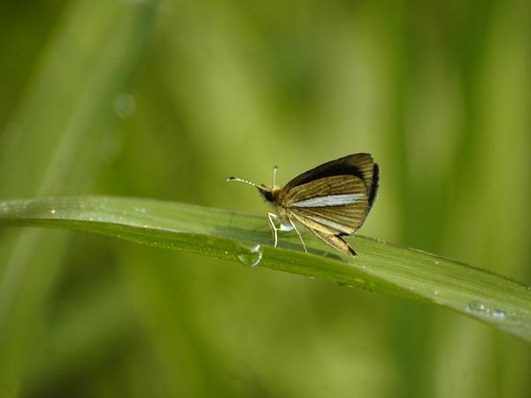 c0045352_17285689.jpg