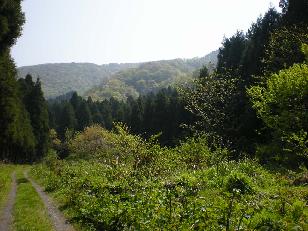 d0148555_8423953.jpg