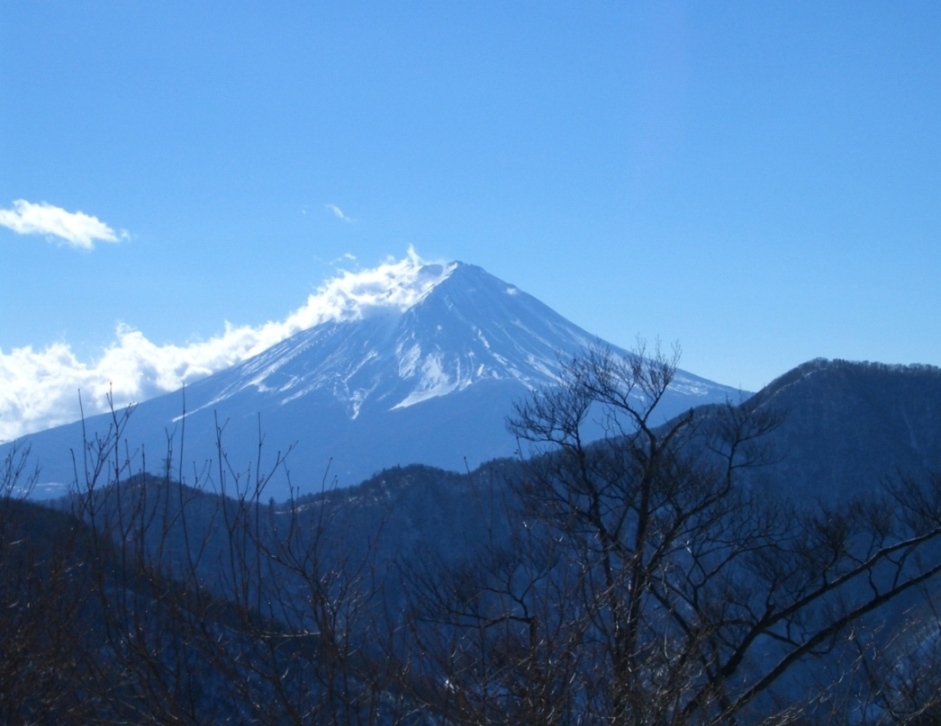 展望の山（５）　大沢山_f0161757_952243.jpg