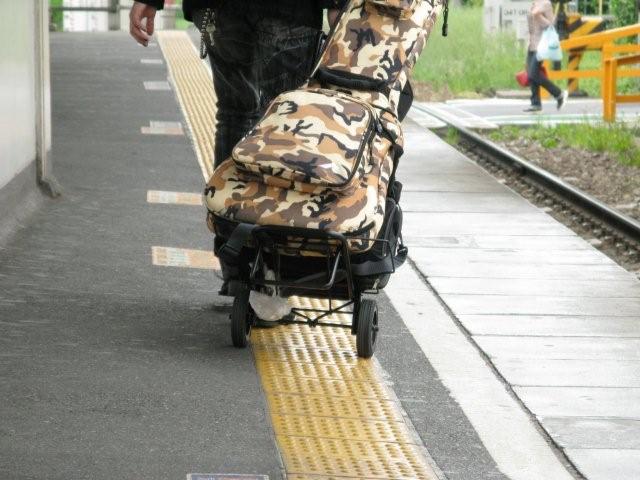 Camouflage_c0157558_2273946.jpg