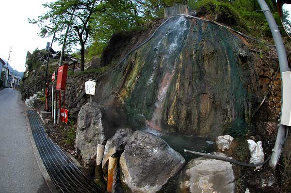 c0043361_2337475.jpg