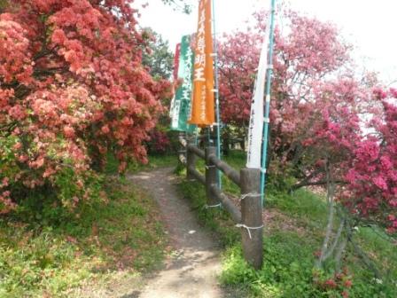 2008　山吹の里・五大尊つつじ公園…そしてラン？？_c0134862_11424239.jpg