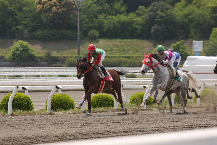 2008年4月26日（土） 高知競馬 3R_a0077663_1851247.jpg