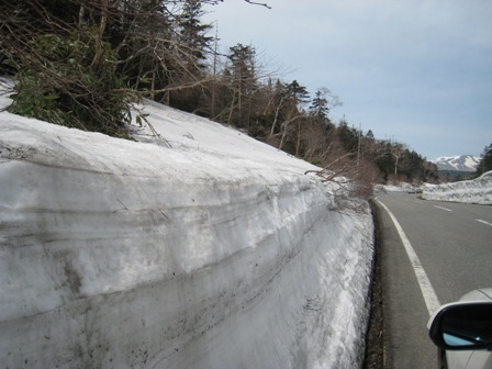 e0015964_2312659.jpg