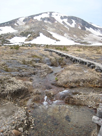 e0015964_23135058.jpg