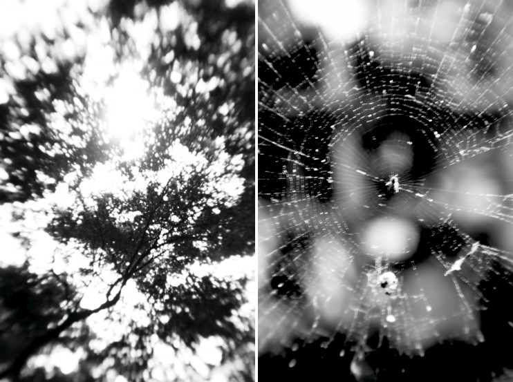 B&W写真_a0002672_21233561.jpg