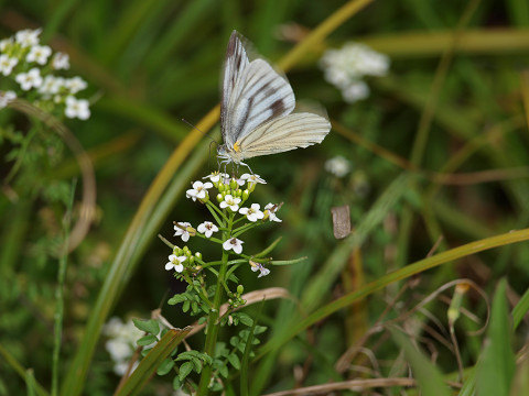 b0135573_1503457.jpg