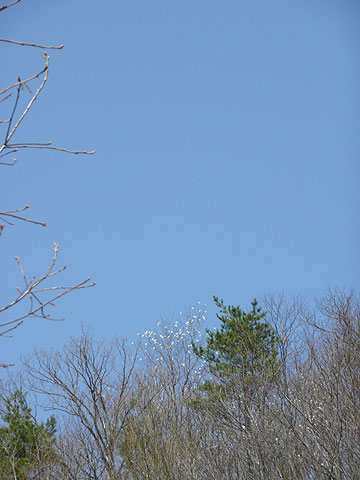 c0107075_03108.jpg