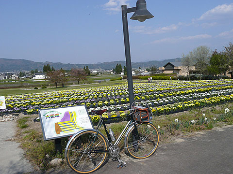 c0107075_0598.jpg