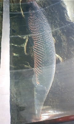 c0096582_14769.jpg