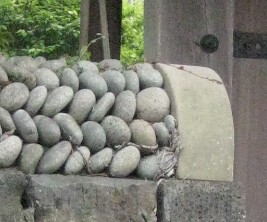 c0013687_0115220.jpg