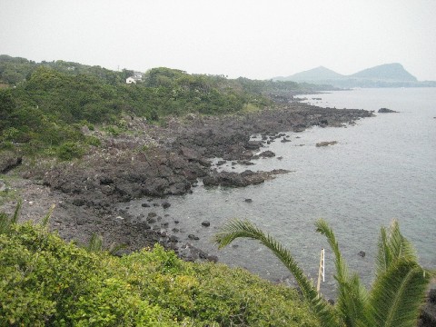c0013687_011537.jpg