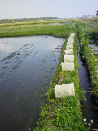 c0049489_8225860.jpg