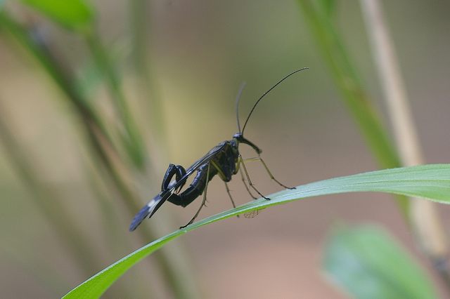 e0070891_18204632.jpg