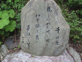 杜植物園（おばあちゃんの句碑）_c0078592_2153166.jpg