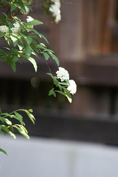 d0025894_0382211.jpg