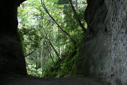 d0025894_051981.jpg