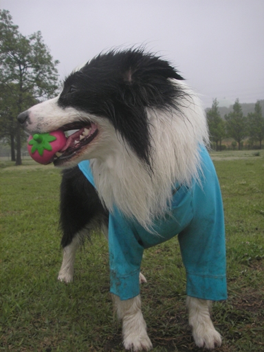 f0034602_16571735.jpg