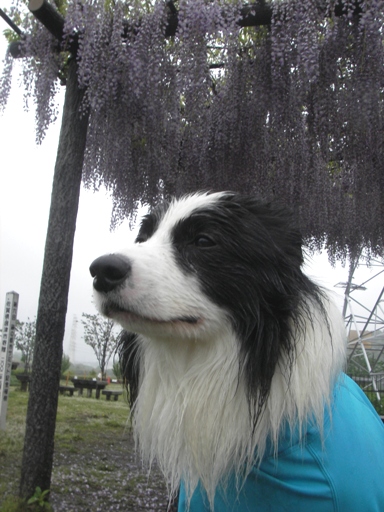 f0034602_16591359.jpg