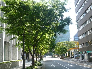 d0131804_17274581.jpg