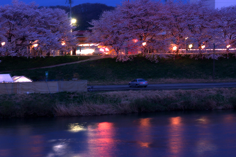 白石川の一目千本桜・その３_d0113707_20523186.jpg