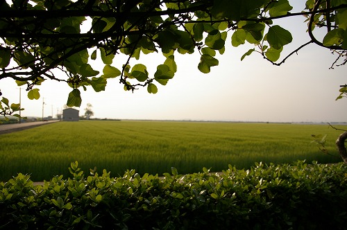 e0074308_20513487.jpg