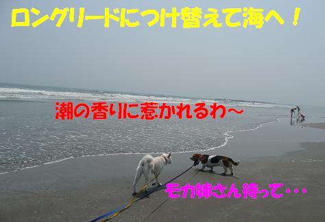 f0121712_16184466.jpg