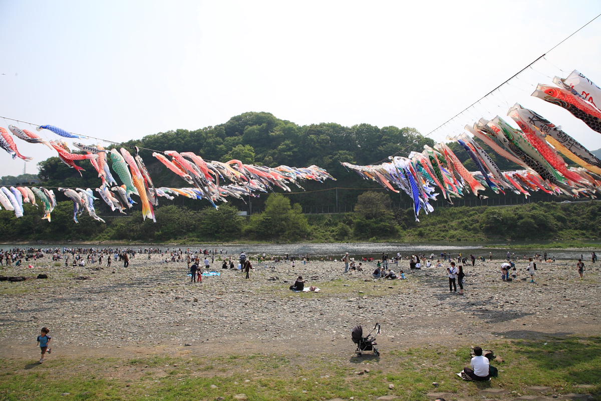 相模川「鯉のぼり」篇 1_f0157812_832026.jpg