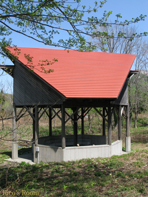 f0078014_2246567.jpg