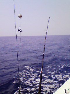 a0070715_13475413.jpg