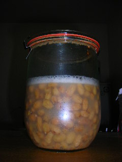 e0046526_22521838.jpg