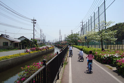 ツツジの花咲く頃_f0007926_17393195.jpg