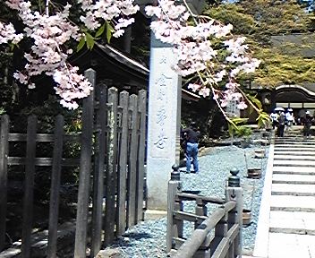 f0063931_1451784.jpg