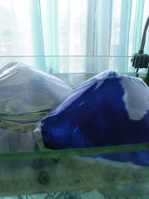 c0108434_22212245.jpg