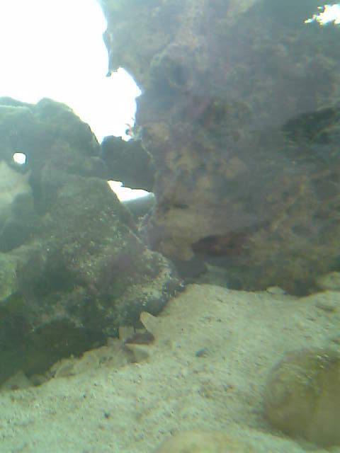 c0108434_22284363.jpg