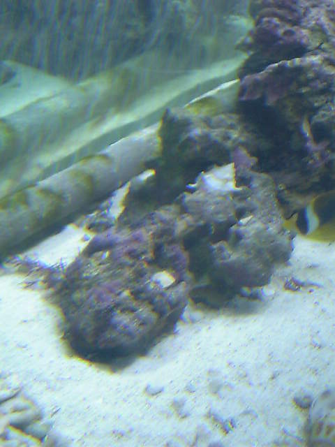 c0108434_22485460.jpg