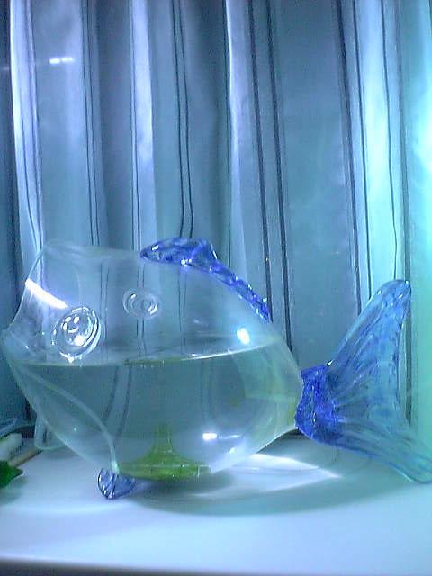c0108434_2250176.jpg