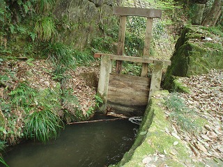 d0048350_16419.jpg
