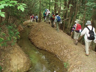 d0048350_1655511.jpg
